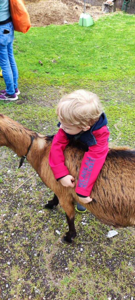 Tierischer Ausflug