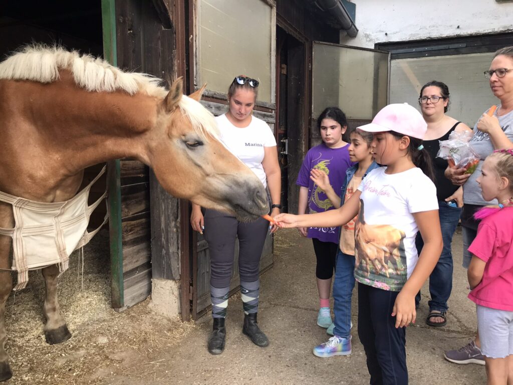 Carnuntum Horses