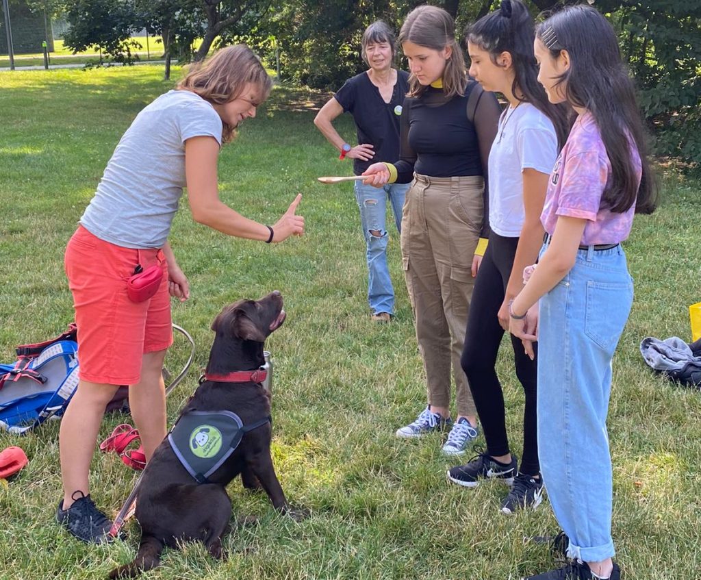 Geschwistergruppe: Ausflug mit Hunden